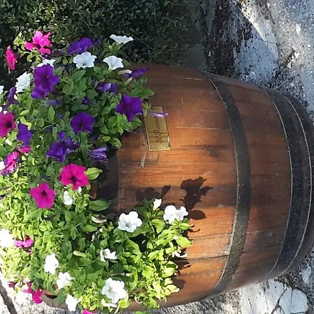 Roccione Apartamento *
